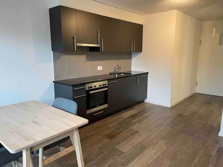 Ferienwohnung Proche Lausanne: Studio Bien Equipe Prilly Exterior foto